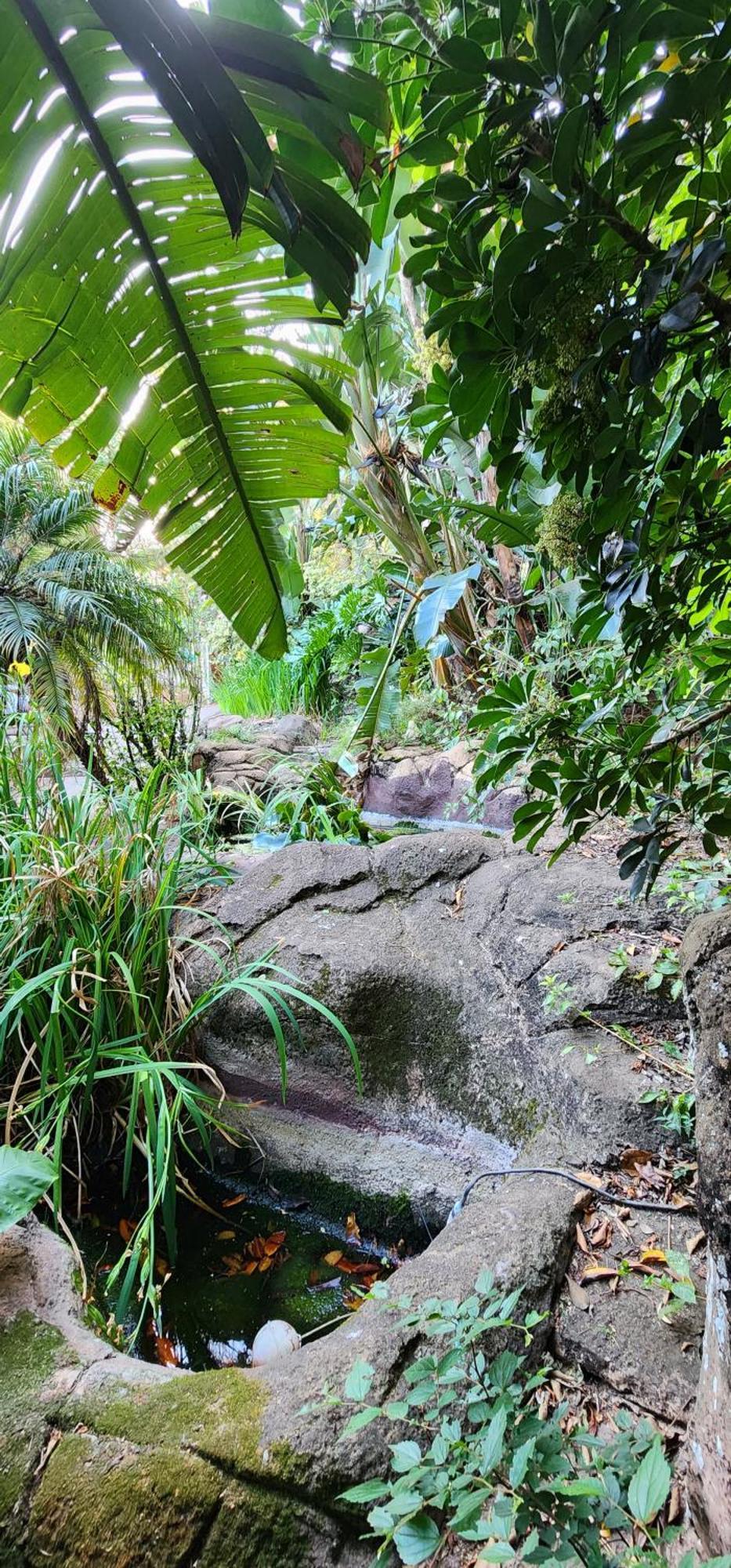 Bali At Scenic Haven Lodge In Hartbeespoort Exteriör bild